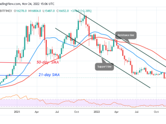 Bitcoin Price Prediction for Today, November 24: BTC Price Consolidates Above $16K