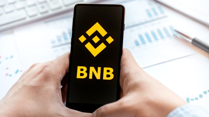 Is BNB safe from crypto meltdown?