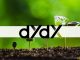 dYdX Could be Among Largest Beneficiaries From FTX Collapse: Report