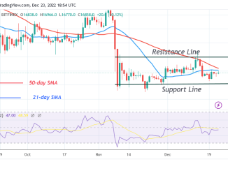 Bitcoin Price Prediction for Today, December 23: BTC Price Is Set to Break the $17K Hurdle