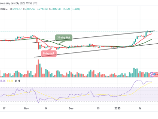 Bitcoin Price Prediction for Today, January 24: BTC/USD Jumps Above $23,000 Level