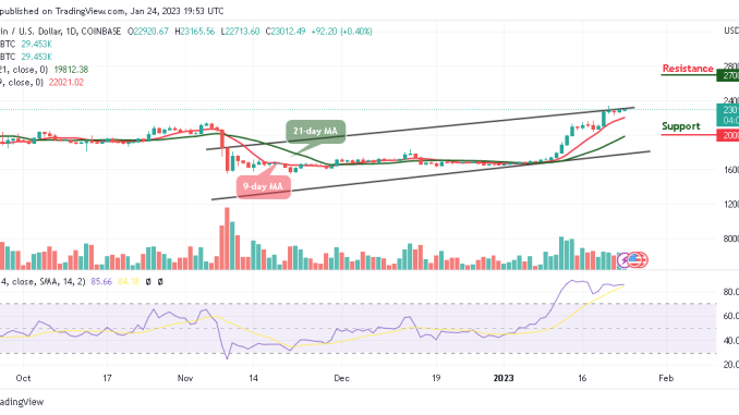 Bitcoin Price Prediction for Today, January 24: BTC/USD Jumps Above $23,000 Level