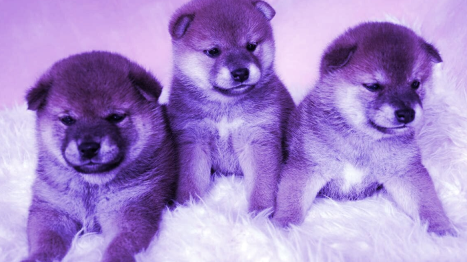 Dogecoin, Bonk and Shiba Inu Combine for $25 Billion in Monthly Trading Volume