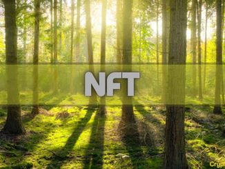 ETH NFT Activity Up Only for 5 Weeks in a Row: Data