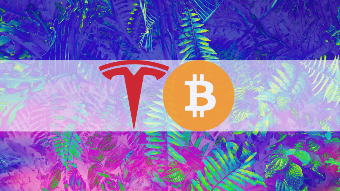 Tesla Remained a Bitcoin Hodler During Q2 of 2022