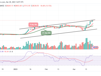 Bitcoin Price Prediction for Today, March 20: BTC/USD Begins Technical Correction as Price Hits $27,313 Support