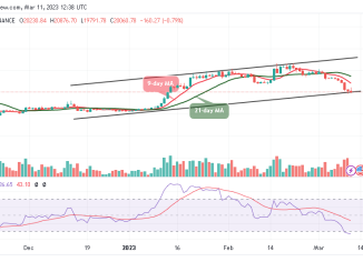 Bitcoin Price Prediction for Today, March 11: BTC/USD Retraces Below $20,000