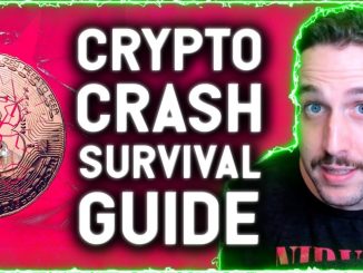 CRYPTO CRASH SURVIVAL GUIDE! THIS SECTOR IS WHERE I WILL BE LOOKING FOR THE BEST GAINS