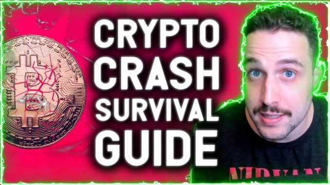 CRYPTO CRASH SURVIVAL GUIDE! THIS SECTOR IS WHERE I WILL BE LOOKING FOR THE BEST GAINS