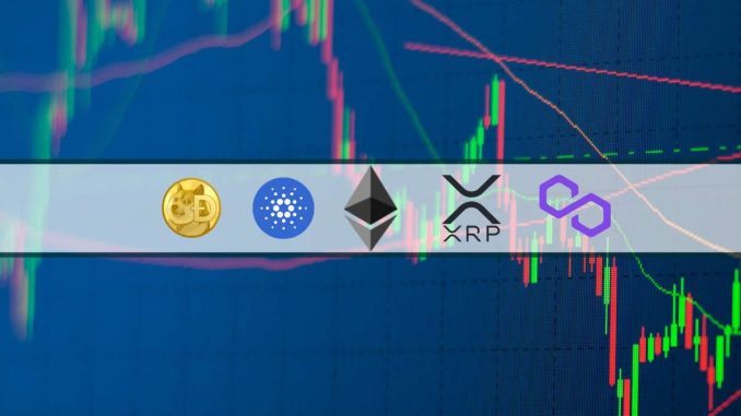 ETH, XRP, ADA, DOGE, MATIC