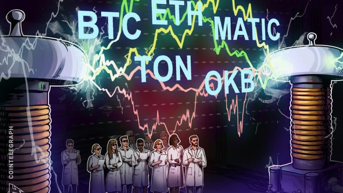 Watch these 5 cryptocurrencies for a potential price rebound next week