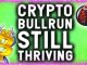 BEST RECOVERY SHOWS BITCOIN BULL RUN IS STILL THRIVING! TOP CHARTS TO WATCH