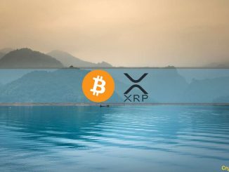 XRP Rally Cools Off, MicroStrategy Buys More BTC, Market Calms Down: This Week's Crypto Recap