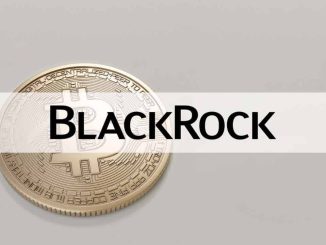 Institutional Adoption of DeFi is 'Many Years Away,' Says BlackRock Executive