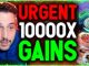 ABSOLUTE PERFECT STORM AS 10,000X GAINS DRAW IN RETAIL TRADERS!! (Urgent)