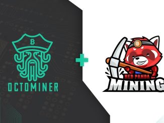 $8000 Octominer GIVEAWAY Live! Server Cases, Swag, and More!