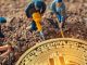 Bitcoin Miner Iris Energy Jumps 9% as It Boosts Mining Capacity Ahead of Bitcoin Halving