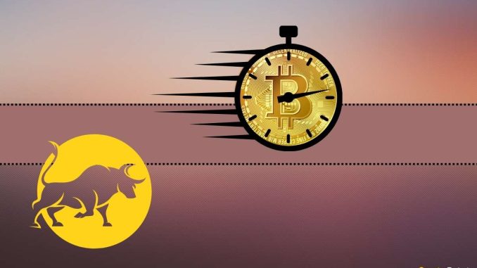 Is It Time to Buy BTC Before the Next Bitcoin Bull Run?