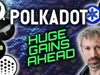 POLKADOT COULD MAKE YOU HUGE GAINS!!! CROWDLOANS EXPLAINED