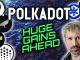 POLKADOT COULD MAKE YOU HUGE GAINS!!! CROWDLOANS EXPLAINED