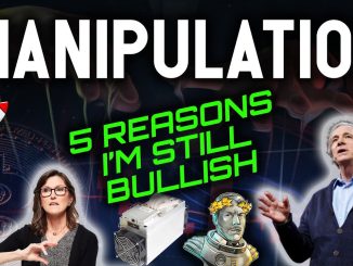 WARNING MANIPULATION! 5 REASONS WHY I'M STILL BULLISH!