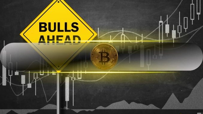 3 Bullish Bitcoin Things to Be Excited About in 2024