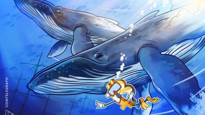 Bitcoin whales aim to reclaim $42K after BTC price dives over 3%