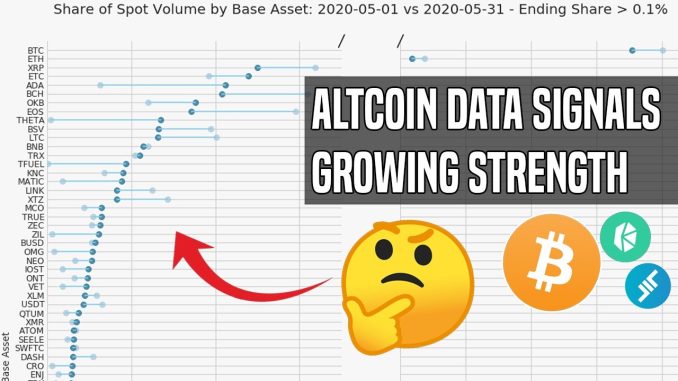 DeFi Tokens Go Parabolic | Data Shows The Next Altcoin Cycle Is Here