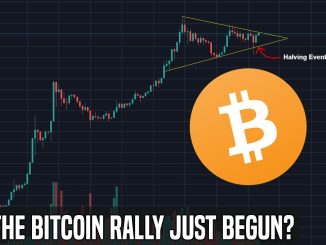 The Bitcoin Halving Rally | Crypto Markets Are Heating Up