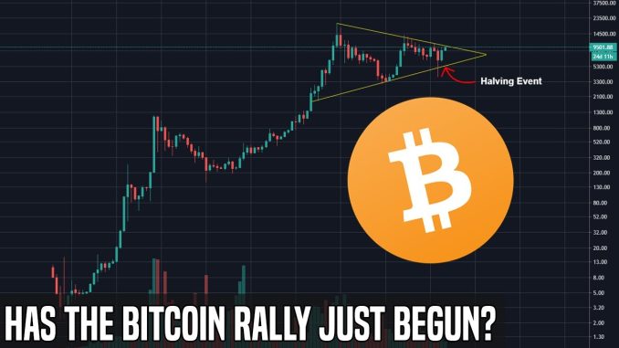 The Bitcoin Halving Rally | Crypto Markets Are Heating Up