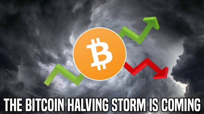 The Bitcoin Halving Storm Is Upon Us | Let's Cut Out The Noise