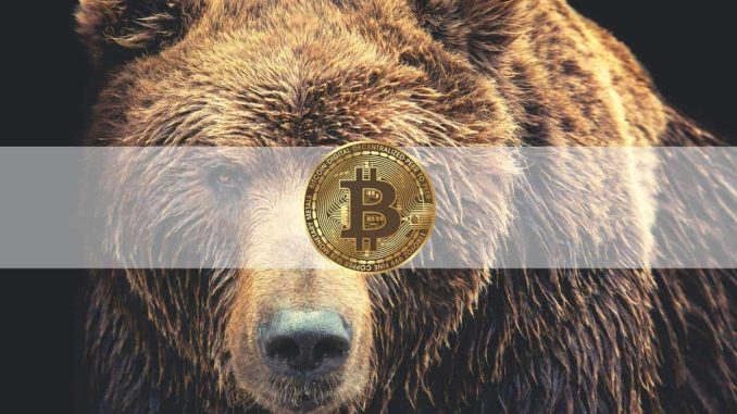 The Bitcoin Bear Market May Have Already Started, Signal Shows