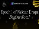 Nektar Network begins Epoch 1 of Nektar Drops - Rewards for ongoing participation