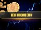 Best Bitcoin ETFs in 2024: Fees, Alternatives, and How to Buy